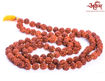 Picture of Arkam Rudraksha Mala/ 100% Natural Rudraksha Mala/ Original Rudraksha mala knotted (Size: 10mm, Beads: 108+1) with Gaumukhi