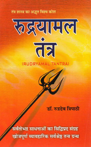 Picture of Rudrayamal Tantra - Hindi - Ranjan Publications