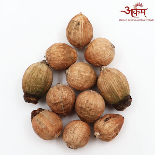 Picture of Arkam Laghu Nariyal / Shreephal / Shriphal / Mini Coconut / Premium Quality - Set of 11 Pcs