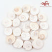 Picture of Arkam Gomti Chakra / Gomati Chakra / White Gomti Chakra / Original Premium Quality for Puja 12-15 mm - Set of 21 Pcs