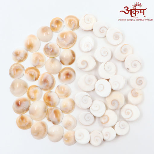 Picture of Arkam Gomti Chakra / Gomati Chakra / White Gomti Chakra / Original Premium Quality for Puja 12-15 mm - Set of 51 Pcs