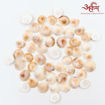 Picture of Arkam Gomti Chakra / Gomati Chakra / White Gomti Chakra / Original Premium Quality for Puja 12-15 mm - Set of 51 Pcs