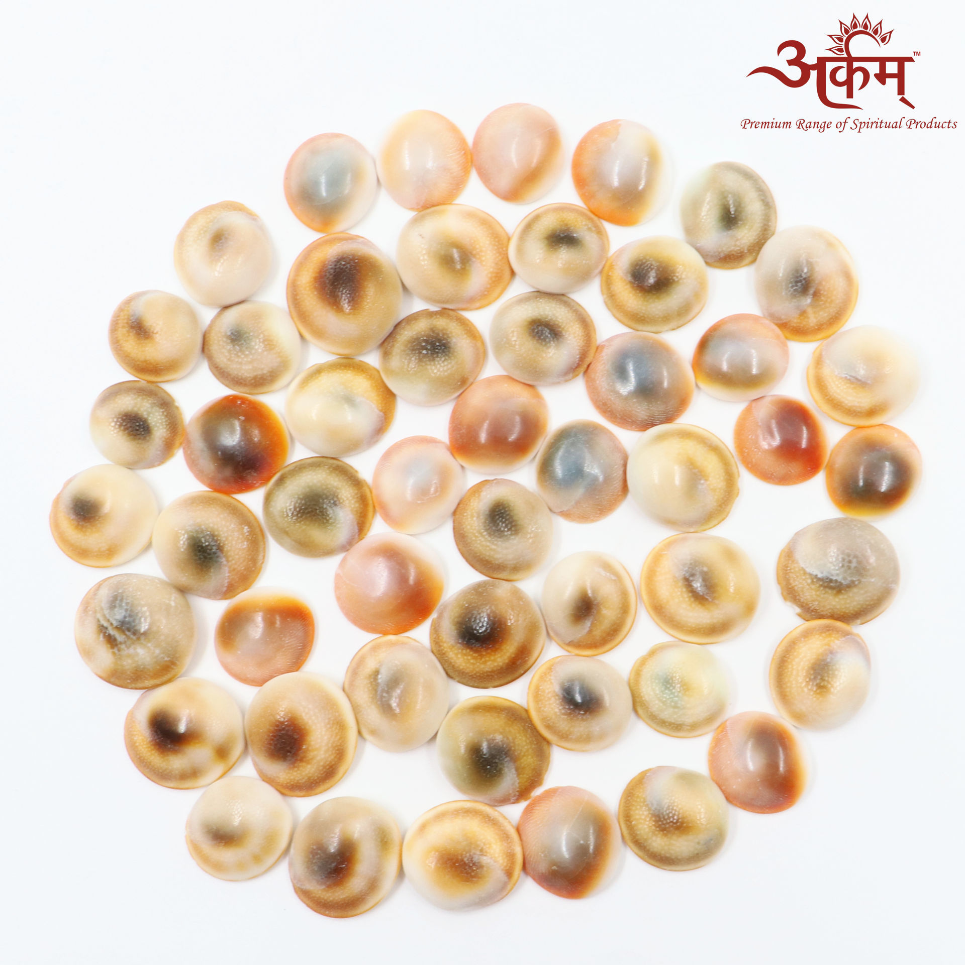 Generic Mahalakshmi Puja Kit (Gomti Chakra, Red Gunja, Yellow Cowrie, Kamal Beej, Small Shriphal
