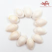 Picture of Arkam White Kauri / Safed Kodi / White Kaudi / Safed Kauri / Premium Quality for Puja - Set of 11 Pcs