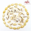 Picture of Arkam Yellow Kauri / Peeli Kodi / Yellow Kaudi / Pili Kauri / Premium Quality for Puja - Set of 51 Pcs