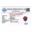 Picture of ARKAM Five Mukhi Rudraksha Certified/ Original Nepali 5 Mukhi Rudraksh/ Natural 5 faced Rudraksha (Brown) with Certificate and Puja Instructions