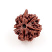 Picture of ARKAM Ganesh Rudraksha Certified/ Original Nepali Ganesh Rudraksh/ Natural Ganesh Rudraksha (Brown) with Certificate and Puja Instructions