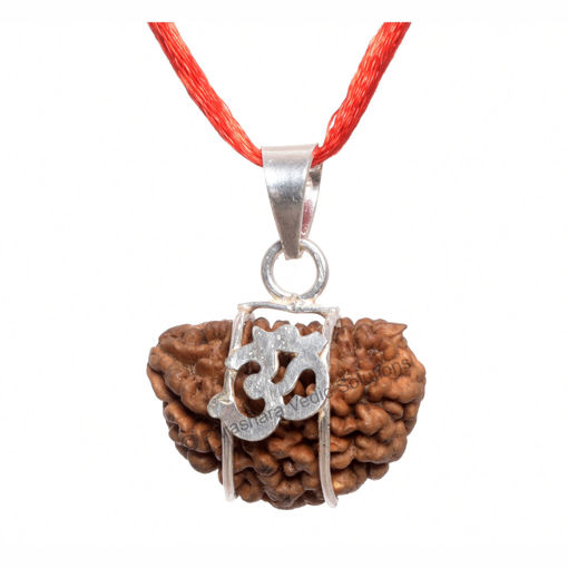 Picture of ARKAM One Mukhi Rudraksha Certified Kaju Dana/ Original 1 Mukhi Rudraksh Kaju Dana/ Natural 1 faced Rudraksha with Silver Pendant (Brown) with Certificate and Puja Instructions