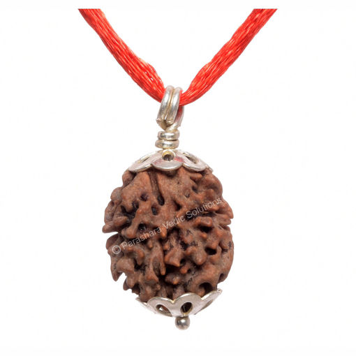 Picture of ARKAM Two Mukhi Oval Rudraksha Certified/ Original 2 Mukhi Rudraksh/ Natural 2 faced Rudraksha with Silver Pendant (Brown) with Certificate and Puja Instructions