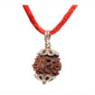 Picture of ARKAM Three Mukhi Rudraksha Certified/ Original Nepali 3 Mukhi Rudraksh/ Natural 3 faced Rudraksha with Silver Pendant (Brown) with Certificate and Puja Instructions