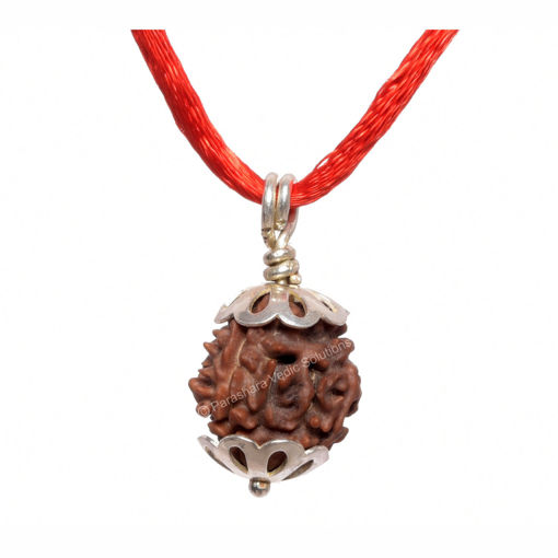 Picture of ARKAM Three Mukhi Rudraksha Certified/ Original Nepali 3 Mukhi Rudraksh/ Natural 3 faced Rudraksha with Silver Pendant (Brown) with Certificate and Puja Instructions