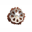 Picture of ARKAM Three Mukhi Rudraksha Certified/ Original Nepali 3 Mukhi Rudraksh/ Natural 3 faced Rudraksha with Silver Pendant (Brown) with Certificate and Puja Instructions