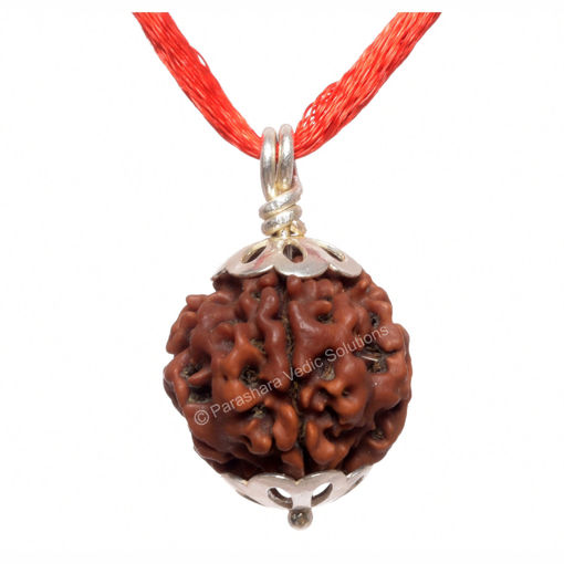 Picture of ARKAM Four Mukhi Rudraksha Certified/ Original Nepali 4 Mukhi Rudraksh/ Natural 4 faced Rudraksha with Silver Pendant (Brown) with Certificate and Puja Instructions