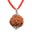 Picture of ARKAM Five Mukhi Rudraksha Certified/ Original Nepali 5 Mukhi Rudraksh/ Natural 5 faced Rudraksha with Silver Pendant (Brown) with Certificate and Puja Instructions