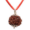 Picture of ARKAM Seven Mukhi Rudraksha Certified/ Original Nepali 7 Mukhi Rudraksh/ Natural 7 faced Rudraksha with Silver Pendant (Brown) with Certificate and Puja Instructions