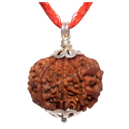 Picture of ARKAM Eight Mukhi Rudraksha Certified/ Original Nepali 8 Mukhi Rudraksh/ Natural 8 faced Rudraksha with Silver Pendant (Brown) with Certificate and Puja Instructions