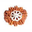 Picture of ARKAM Eight Mukhi Rudraksha Certified/ Original Nepali 8 Mukhi Rudraksh/ Natural 8 faced Rudraksha with Silver Pendant (Brown) with Certificate and Puja Instructions