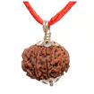 Picture of ARKAM Nine Mukhi Rudraksha Certified/ Original Nepali 9 Mukhi Rudraksh/ Natural 9 faced Rudraksha with Silver Pendant (Brown) with Certificate and Puja Instructions