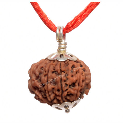 Picture of ARKAM Nine Mukhi Rudraksha Certified/ Original Nepali 9 Mukhi Rudraksh/ Natural 9 faced Rudraksha with Silver Pendant (Brown) with Certificate and Puja Instructions