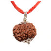 Picture of ARKAM Ten Mukhi Rudraksha Certified/ Original Nepali 10 Mukhi Rudraksh/ Natural 10 faced Rudraksha with Silver Pendant (Brown) with Certificate and Puja Instructions