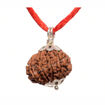 Picture of ARKAM Eleven Mukhi Rudraksha Certified/ Original Nepali 11 Mukhi Rudraksh/ Natural 11 faced Rudraksha with Silver Pendant (Brown) with Certificate and Puja Instructions