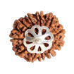 Picture of ARKAM Eleven Mukhi Rudraksha Certified/ Original Nepali 11 Mukhi Rudraksh/ Natural 11 faced Rudraksha with Silver Pendant (Brown) with Certificate and Puja Instructions