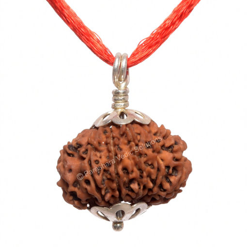 Picture of ARKAM Twelve Mukhi Rudraksha Certified/ Original Nepali 12 Mukhi Rudraksh/ Natural 12 faced Rudraksha with Silver Pendant (Brown) with Certificate and Puja Instructions