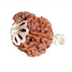 Picture of ARKAM Ganesh Rudraksha Certified/ Original Nepali Ganesh Rudraksh/ Natural Ganesh Rudraksha with Silver Pendant (Brown) with Certificate and Puja Instructions