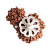 Picture of ARKAM Garbh Gauri Rudraksha Certified/ Original Nepali Garbh Gauri Rudraksh/ Natural Garbh Gauri Rudraksha with Silver Pendant (Brown) with Certificate and Puja Instructions