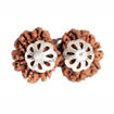 Picture of ARKAM Gauri Shankar Rudraksha Certified/ Original Nepali Gauri Shankar Rudraksh/ Natural Gauri Shankar Rudraksha with Silver Pendant (Brown) with Certificate and Puja Instructions