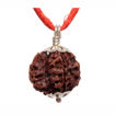 Picture of ARKAM Savar Rudraksha Certified/ Original Nepali Sawar Rudraksh/ Natural Savar Rudraksha with Silver Pendant (Brown) with Certificate and Puja Instructions