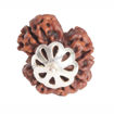 Picture of ARKAM Savar Rudraksha Certified/ Original Nepali Sawar Rudraksh/ Natural Savar Rudraksha with Silver Pendant (Brown) with Certificate and Puja Instructions