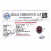 Picture of ARKAM Four Mukhi Rudraksha Certified/ Original Nepali 4 Mukhi Rudraksh/ Natural 4 faced Rudraksha with Silver Pendant (Brown) with Certificate and Puja Instructions