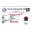 Picture of ARKAM Six Mukhi Rudraksha Certified/ Original Nepali 6 Mukhi Rudraksh/ Natural 6 faced Rudraksha with Silver Pendant (Brown) with Certificate and Puja Instructions