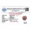 Picture of ARKAM Nine Mukhi Rudraksha Certified/ Original Nepali 9 Mukhi Rudraksh/ Natural 9 faced Rudraksha (Brown) with Certificate and Puja Instructions