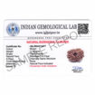 Picture of ARKAM Fourteen Mukhi Rudraksha Certified/ Original Nepali 14 Mukhi Rudraksh/ Natural 14 faced Rudraksha (Brown) with Certificate and Puja Instructions