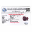 Picture of ARKAM Garbh Gauri Rudraksha Certified/ Original Nepali Garbh Gauri Rudraksh/ Natural Garbh Gauri Rudraksha (Brown) with Certificate and Puja Instructions