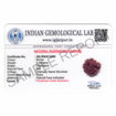 Picture of ARKAM Savar Rudraksha Certified/ Original Nepali Sawar Rudraksh/ Natural Savar Rudraksha (Brown) with Certificate and Puja Instructions