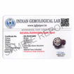 Picture of ARKAM Garbh Gauri Rudraksha Certified/ Original Nepali Garbh Gauri Rudraksh/ Natural Garbh Gauri Rudraksha with Silver Pendant (Brown) with Certificate and Puja Instructions