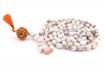 Picture of Arkam Vaijanti Mala/ Natural Vaijanti Mala with Rudraksh/ Vaijanti mala Original 108 (Length: 36 inches, Beads: 108+1)