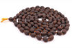 Picture of Arkam Kamalgatta Mala/ Natural Lotus Seeds Mala/ Kamal Gatta Mala/ Kamalgatta Mala Original (Length: 72 inches, Beads: 108+1)