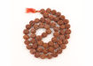 Picture of Arkam 5 mukhi Rudraksh Kantha Certified/ Rudraksha Kantha for wearing and worship/ Rudraksh Mala Big/ Five faced Rudraksh Kantha Mala (Size: 18-22mm, Length: 35inches, Beads: 54+1)