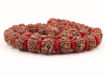 Picture of Arkam 5 mukhi Rudraksh Kantha/ Rudraksha Kantha for wearing and worship/ Rudraksh Mala Big/ Five faced Rudraksh Kantha Mala with Padding (Size: 18-22mm, Length: 35inches, Beads: 54+1)