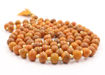 Picture of Arkam Haldi Mala Superfine/ Natural Turmeric Mala/ Haldi mala Original (Size: 7mm, Length: 32 inches, Beads: 108+1)