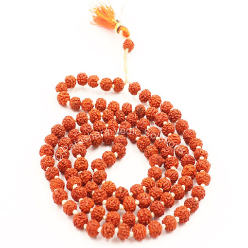 Picture of Arkam Rudraksha Mala/ Natural Rudraksh Mala/ Original Rudraksha mala/ Small Rudraksham Mala/ 4mm Rudraksha Rosary (Size: 4mm, Beads: 108+1)