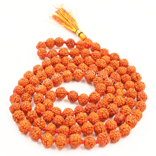Picture of Arkam Rudraksha Mala/ Natural Rudraksh Mala/ Original Rudraksha mala/ Small Rudraksham Mala/ 6mm Rudraksha Rosary (Size: 6mm, Beads: 108+1)