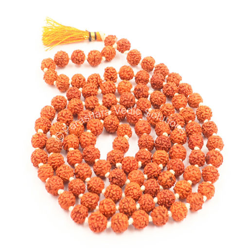 Picture of Arkam Rudraksha Mala/ Natural Rudraksh Mala/ Original Rudraksha mala/ Rudraksha Mala for men and women/ 7mm Rudraksha Rosary (Size: 7mm, Beads: 108+1)