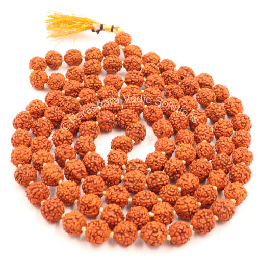 Picture of Arkam Rudraksha Mala/ Natural Rudraksh Mala/ Original Rudraksha mala/ Rudraksha Mala for jaap/ 8mm Rudraksha Rosary (Size: 8mm, Beads: 108+1)