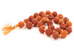 Picture of Arkam Rudraksha Mala Sumarni/Natural Rudraksh Mala/Original Rudraksha mala/Rudraksha Mala for jaap/ 12mm Rudraksha Rosary (Size: 12mm, Beads: 27+1)