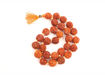 Picture of Arkam Rudraksha Mala Sumarni/Natural Rudraksh Mala/Original Rudraksha mala/Rudraksha Mala for jaap/ 12mm Rudraksha Rosary (Size: 12mm, Beads: 27+1)